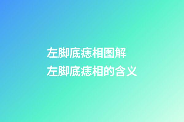 左脚底痣相图解 左脚底痣相的含义